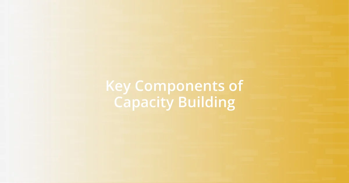 Key Components of Capacity Building