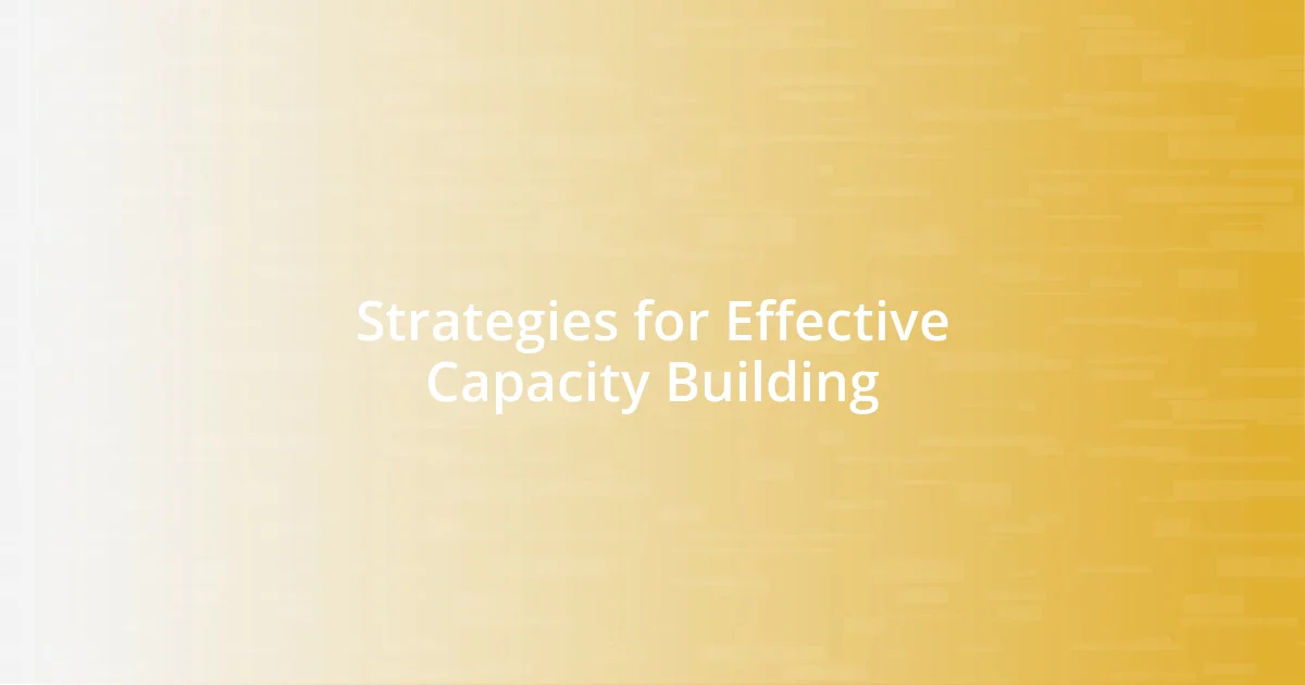 Strategies for Effective Capacity Building