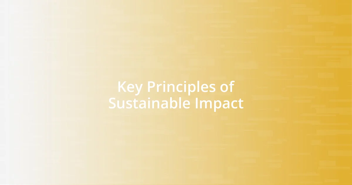 Key Principles of Sustainable Impact