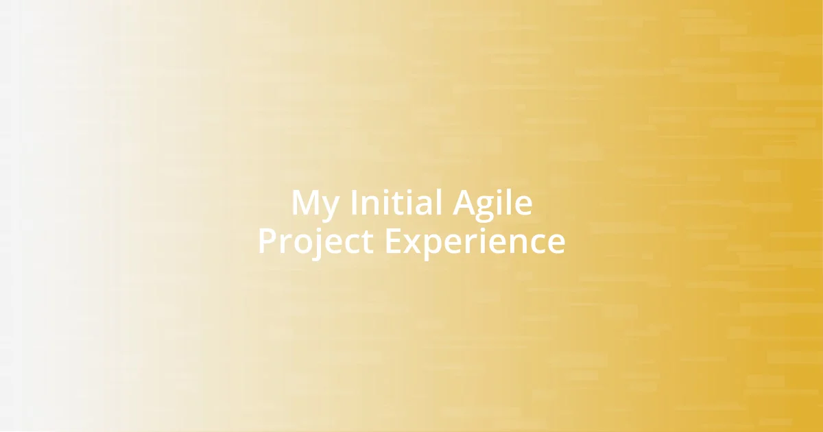 My Initial Agile Project Experience